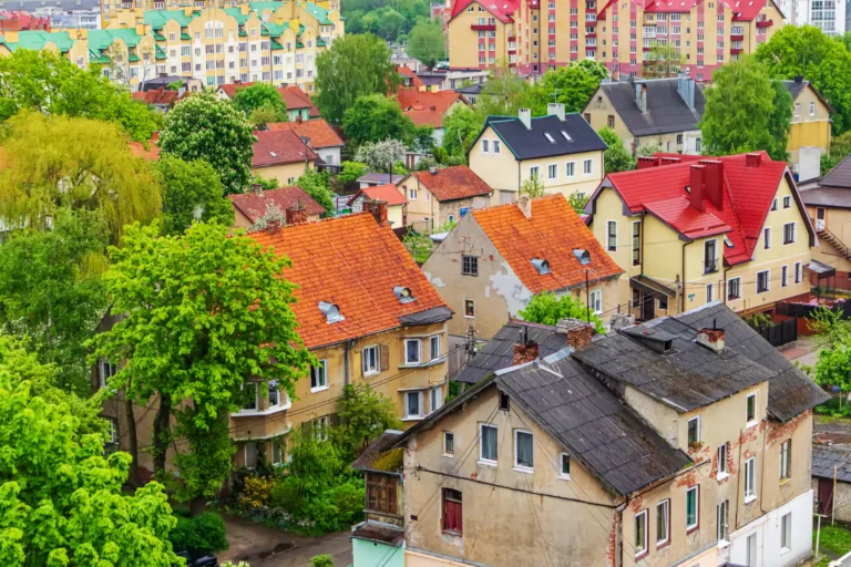 Групповая экскурсия на Куршскую косу, высота Эфа, танцующий лес, Зеленоградск. | Фото 2