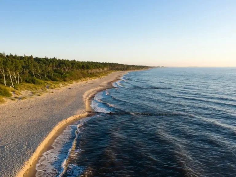 Сыроварня Шаакен Дорф, Куршская коса и Зеленоградск | Фото 6