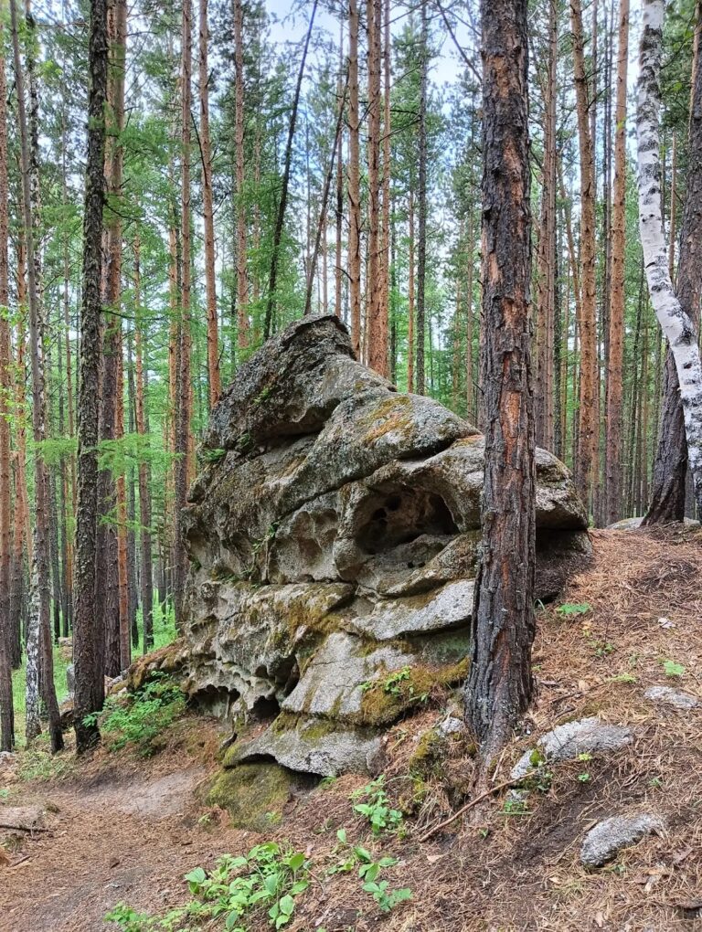 Каменные исполины Хакасии из поселка Жемчужный - Шира | Фото 3